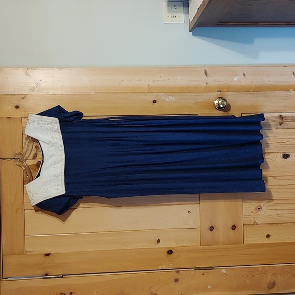 Stunning Vintage Sarah Elizabeth Dress